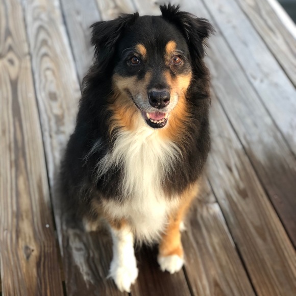 Meet your Posher, Terra - Picture 2 of 8